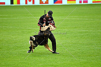 Kamikaze of Fond Verite