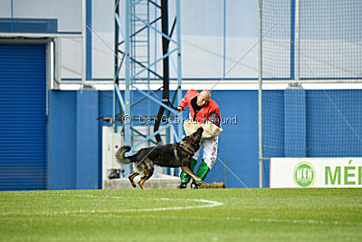 Kamikaze of Fond Verite