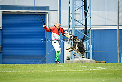 Kamikaze of Fond Verite