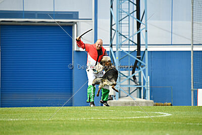 Kamikaze of Fond Verite