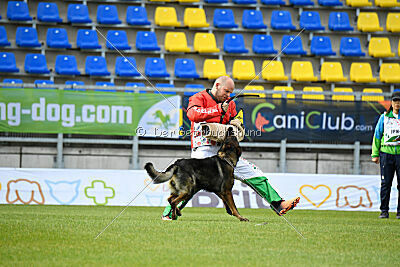 Kamikaze of Fond Verite