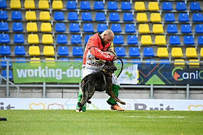 Kamikaze of Fond Verite