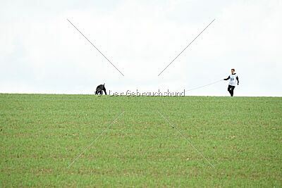 Kamina von der Ilmenau