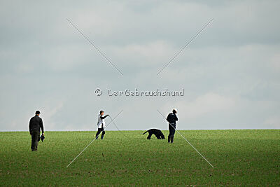 Kamina von der Ilmenau