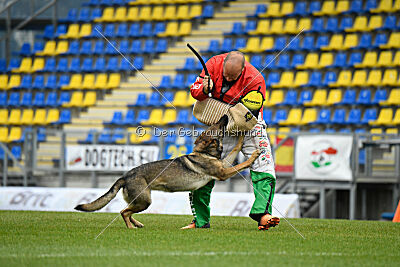 Kanikular Blast of Bindee