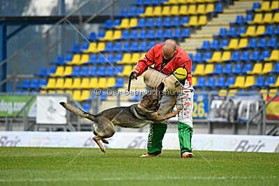 Kanikular Blast of Bindee