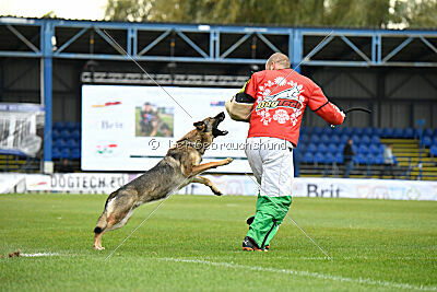 Kanikular Blast of Bindee