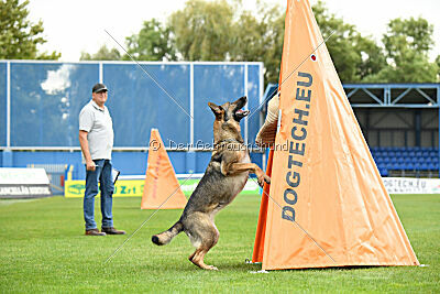 Kanikular Blast of Bindee