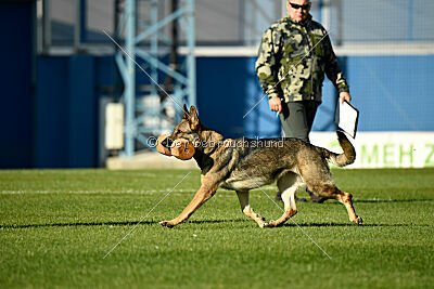 Kanikular Blast of Bindee