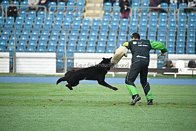 Kanto von der Mooreiche