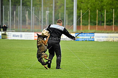 Karamba von der Friesenklippe