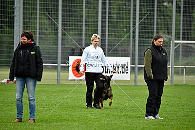 Karamba von der Friesenklippe