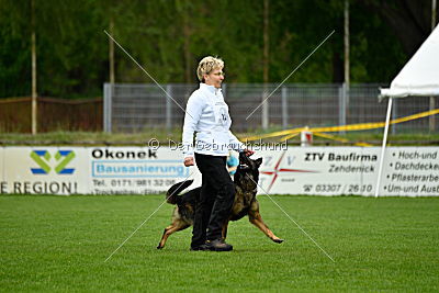 Karamba von der Friesenklippe