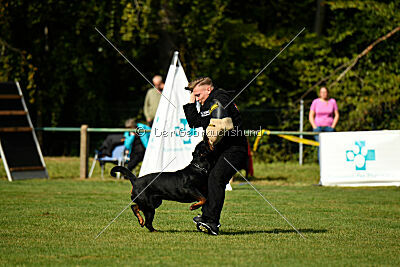 Karl vom Hause Neubrand III