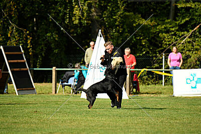 Karl vom Hause Neubrand III