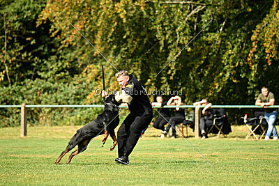 Karl vom Hause Neubrand III