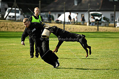 Karl vom Hause Neubrand III
