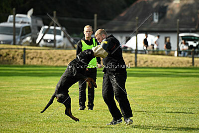 Karl vom Hause Neubrand III