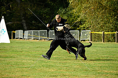 Karl vom Hause Neubrand III