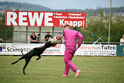 Katha Strophe vom Ravener Forst