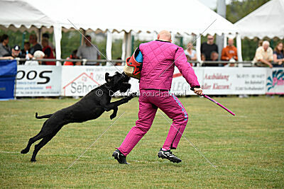 Katha Strophe vom Ravener Forst