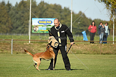 Kelly Extra Temperament