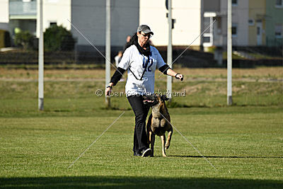 Kelly Extra Temperament