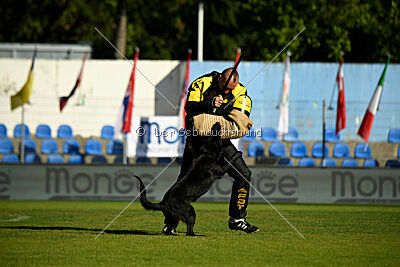 Kentucky del Camino Duro