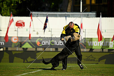 Kentucky del Camino Duro