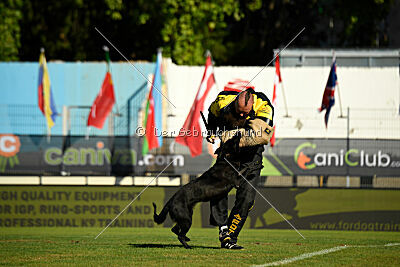 Kentucky del Camino Duro