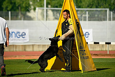 Kentucky del Camino Duro