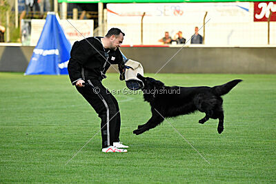 Khan von den Wölfen