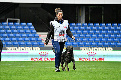 Kieztamarx Daxamite at Brueckwasser