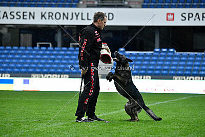 Kieztamarx Daxamite at Brueckwasser