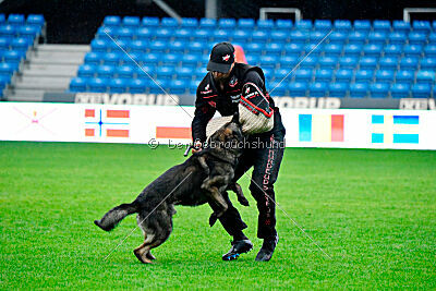 Kieztamarx Daxamite at Brueckwasser