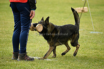 Kieztamarx Daxamite at Brueckwasser