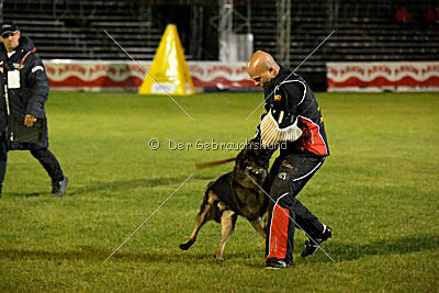 Kieztamarx Daxamite at Brueckwasser