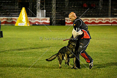 Kieztamarx Daxamite at Brueckwasser