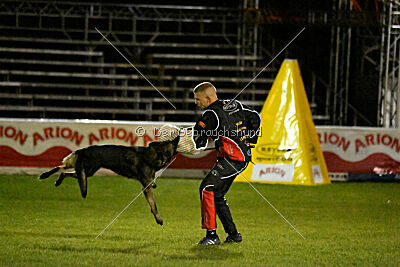 Kieztamarx Daxamite at Brueckwasser