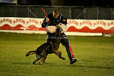 Kieztamarx Daxamite at Brueckwasser