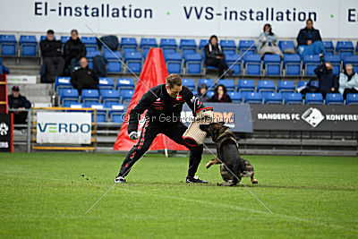 Kill Bill de Parayas