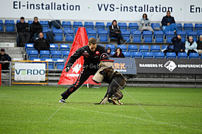 Kill Bill de Parayas