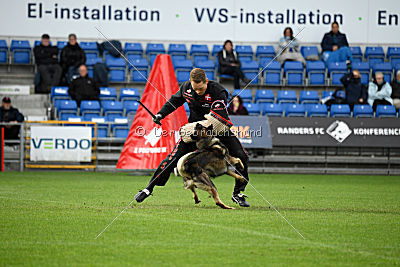 Kill Bill de Parayas