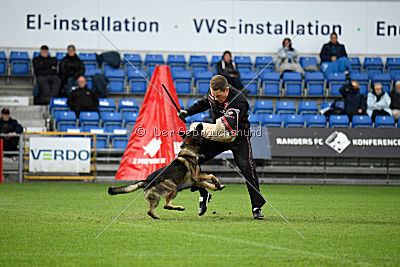 Kill Bill de Parayas