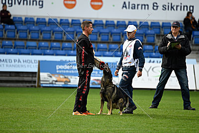 Kill Bill de Parayas