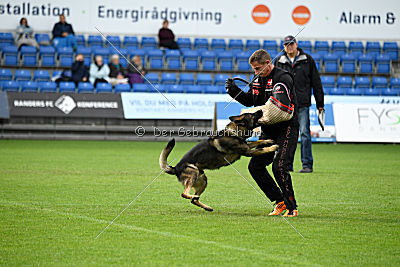 Kill Bill de Parayas