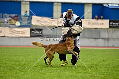 Kim vom Haus der Drachen