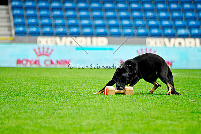 Kim vom Speedteam Bodensee