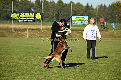 King Extra Temperament