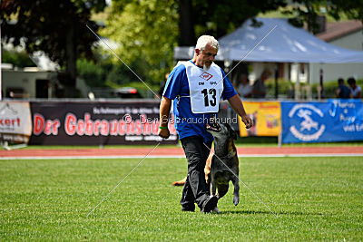 King Extra Temperament